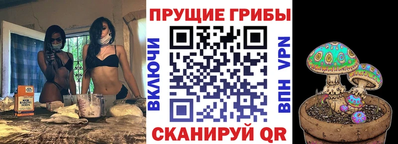 мега tor  Лабинск  Галлюциногенные грибы GOLDEN TEACHER 