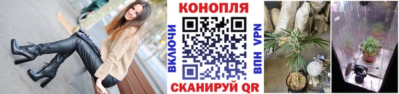 Каннабис конопля  купить   Лабинск 
